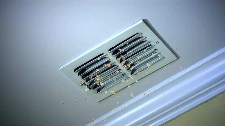 Best Affordable Duct Cleaning Services  in Scottdale, PA